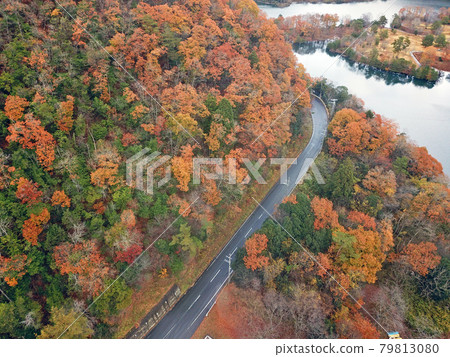 [Drone aerial photography, Miyama-cho, Kyoto Prefecture, autumn leaves] Autumn scenery of Ono Dam and Rainbow Lake, Nantan City, Kyoto Prefecture 79813080