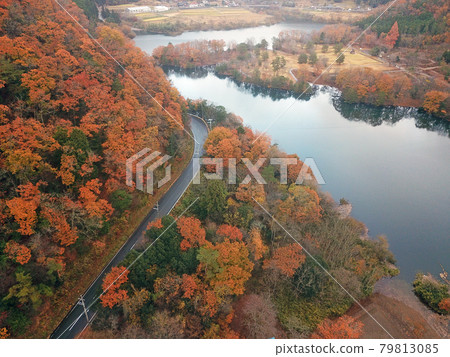 [無人機航拍，京都府美山町，秋葉]京都府南灘市小野水壩和彩虹湖的秋景 79813085