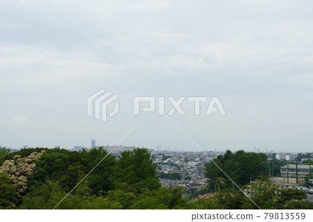 Mitsuzawa Park 79813559