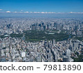 [Aerial photography] Imperial Palace and Marunouchi [Aerial photography] 79813890