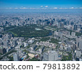 [Aerial photography] Imperial Palace and Kasumigaseki [Aerial photography] 79813892