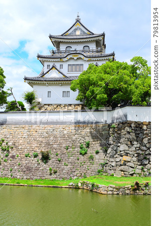 Kishiwada Castle [Continued Top 100 Japanese Castle] 79813954