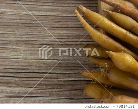 The fingerroot  on wood table close up image for food and medical concept 79814151