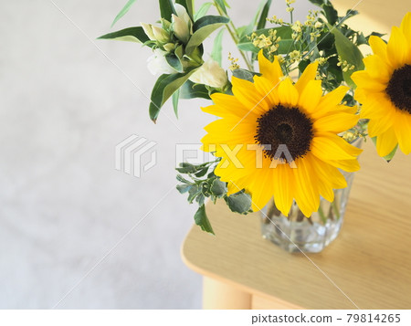 書桌上花瓶裡的向日葵 79814265
