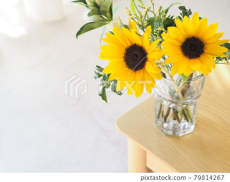 書桌上花瓶裡的向日葵 79814267