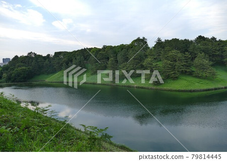 千鳥淵公園 東京千鳥淵區 初夏綠意盎然的千鳥淵公園 皇居內堀半藏護城河馬拉松路線 千鳥淵公園 東京千鳥淵區 初夏綠意盎然的千鳥淵公園 皇居內堀半藏護城河馬拉松路線 79814445
