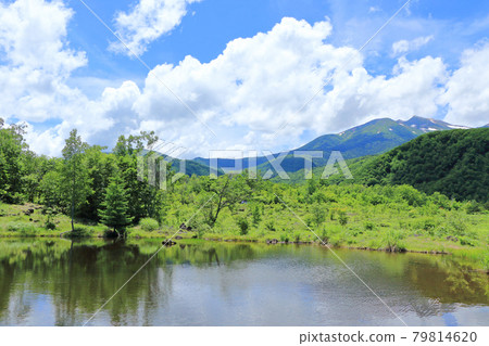 Norikura plateau summer pond of summer 79814620