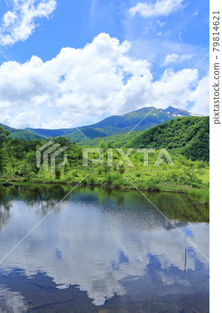 Norikura高原夏天夏天池塘 79814621