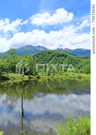 Norikura高原夏天夏天池塘 Norikura高原夏天夏天池塘 79814690