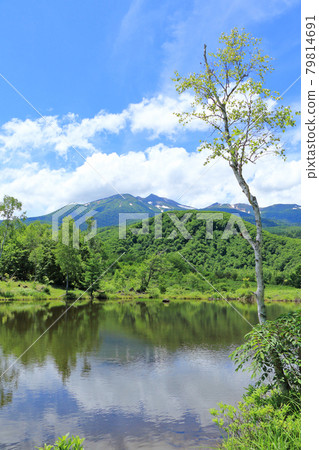 Norikura plateau summer pond of summer 79814691