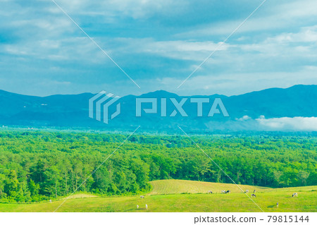 輕井澤近郊 淺間山 大自然 晴朗的藍天 景觀素材 輕井澤近郊 淺間山 大自然 晴朗的藍天 景觀素材 79815144