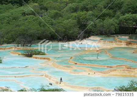世界遺產，黃龍梯田，四川，中國 79815335