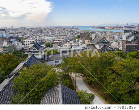 從和歌山城天守閣看的風景 79815859