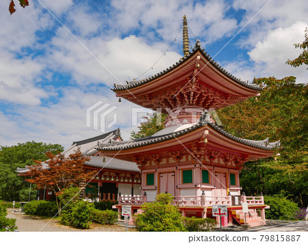 Tahōto and Jigen-do Hall at Tsubosaka-dera Temple Tahōto and Jigen-do Hall at Tsubosaka-dera Temple 79815887