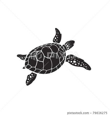 Vector of turtle design on a white background. Reptile. Animals. Easy editable layered vector illustration. Vector of turtle design on a white background. Reptile. Animals. Easy editable layered vector illustration. 79816275
