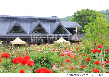 茨城花卉公園玫瑰露台和玫瑰農貿市場 茨城花卉公園玫瑰露台和玫瑰農貿市場 79816990