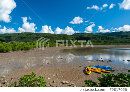 Colorful kayaks on dry sands at low tide. Iriomote Island. Colorful kayaks on dry sands at low tide. Iriomote Island. 79817066