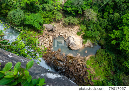 Top view of a tropical waterfall base full of green vegetation around. 79817067