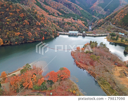 [Drone aerial photography, Miyama-cho, Kyoto Prefecture, autumn leaves] Autumn scenery of Ono Dam and Rainbow Lake, Nantan City, Kyoto Prefecture 79817098
