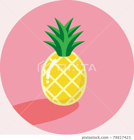 Pineapple illustration Organic vegetable vegetarian Illustration of pineapple Pineapple illustration Organic vegetable vegetarian Illustration of pineapple 79817423