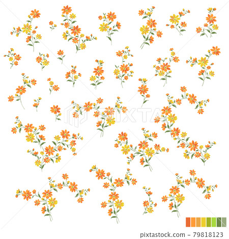 Beautiful and cute flower material collection, Beautiful and cute flower material collection, 79818123