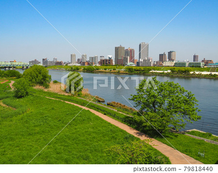 川口市的高層公寓 79818440