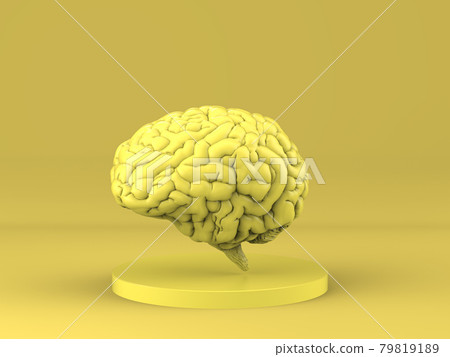 yellow human brain on yellow background yellow human brain on yellow background 79819189