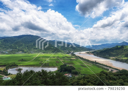 Seomjingang and Hadong Rice paddies 79819230