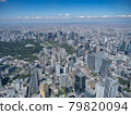 [Aerial photography] Kasumigaseki and buildings in Tokyo [Aerial photography] 79820094