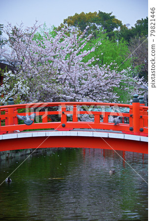 Shinsen-en Garden 2021 Shinsen-en Garden 2021 79821446