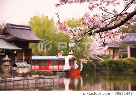 Shinsen-en Garden 2021 Shinsen-en Garden 2021 79821448