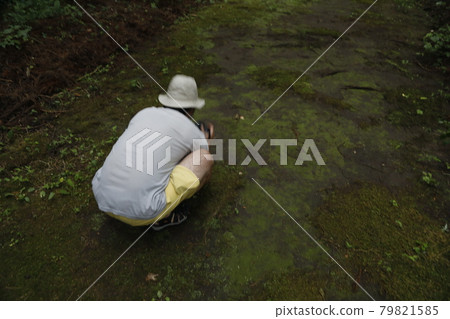Moss moss collection summer vacation men crouching Moss Summer Vacation Moss moss collection summer vacation men crouching Moss Summer Vacation 79821585