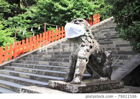 Guardian dog in a mask Guardian dog in a mask 79821586