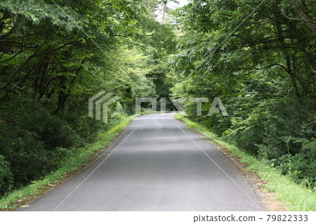 日本岡山縣廣瀨高原的美麗風景 日本岡山縣廣瀨高原的美麗風景 79822333