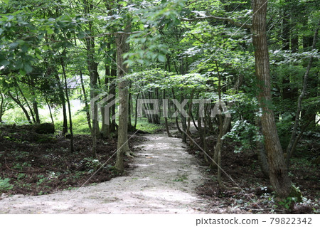 日本岡山縣廣瀨高原的美麗風景 79822342