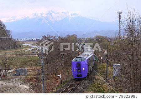 Multipurpose limited express train "Lavender formation" (forwarding train) returning to Sapporo after the announcement at Furano Station Multipurpose limited express train "Lavender formation" (forwarding train) returning to Sapporo after the announcement at Furano Station 79822985