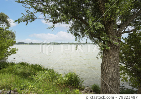 Lower lake on the Mincio river in Mantua, Italy Lower lake on the Mincio river in Mantua, Italy 79823487