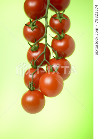 Bunched cherry tomatoes 79823574