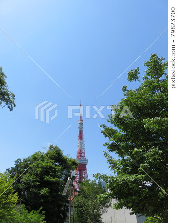 從芝公園看到的東京塔 從芝公園看到的東京塔 79823700