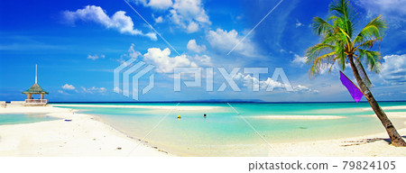 perfect tropical beach scenery with white sand and palm trees. perfect tropical beach scenery with white sand and palm trees. 79824105