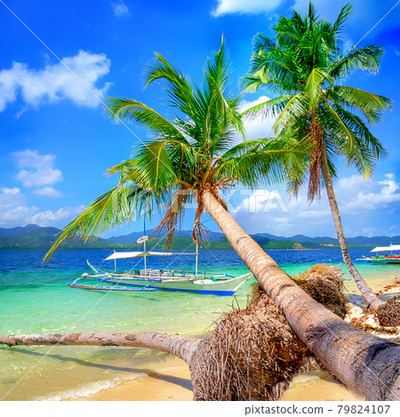perfect tropical beach scenery with white sand and palm trees. perfect tropical beach scenery with white sand and palm trees. 79824107