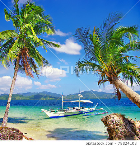 perfect tropical beach scenery with white sand and palm trees.  79824108