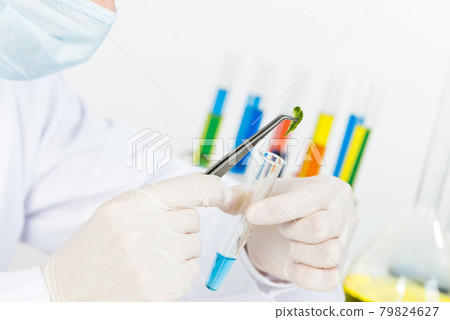 Scientist puts sample into test tube Scientist puts sample into test tube 79824627