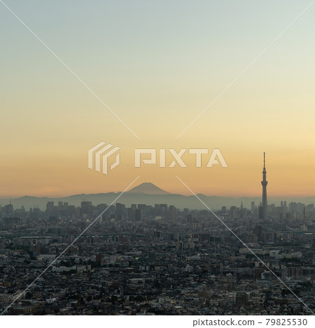 Tokyo evening view Tokyo evening view 79825530