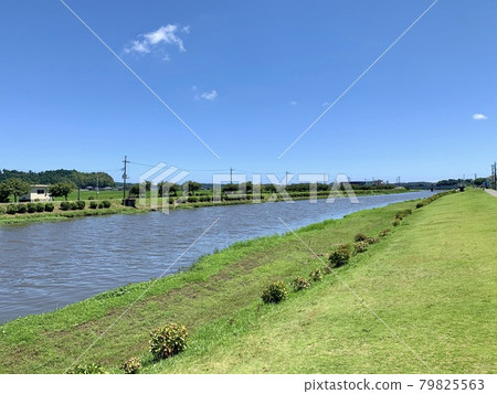 July, Tako Town, Chiba Prefecture July, Tako Town, Chiba Prefecture 79825563