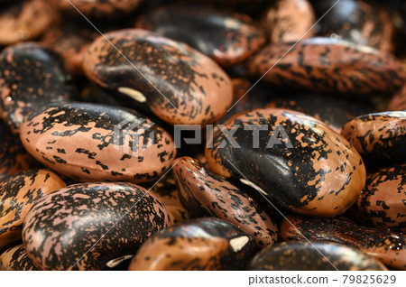 花豆(賽跑豆) 花豆(賽跑豆) 79825629