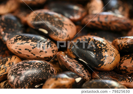 花豆(賽跑豆) 花豆(賽跑豆) 79825630