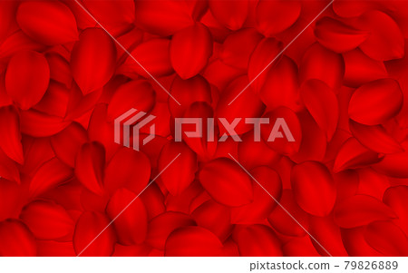Background of beautiful red rose petals. vector texture. Background of beautiful red rose petals. vector texture. 79826889