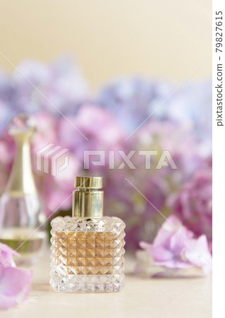 Perfume bottle and live pink and blue hydrangea flower background. Beauty, wellness concept Perfume bottle and live pink and blue hydrangea flower background. Beauty, wellness concept 79827615