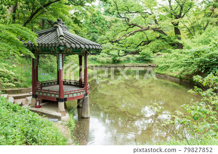 昌德宮後花園(秘密花園)池塘和涼亭 昌德宮後花園(秘密花園)池塘和涼亭 79827852